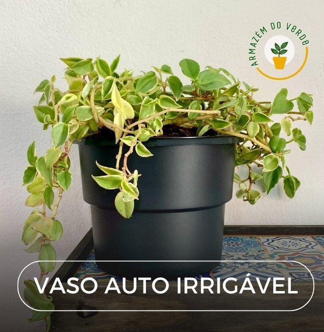 Kit 12 Vasos Autoirrigável Armazém do Verde 20cm Preta Armazem do Verde - 2