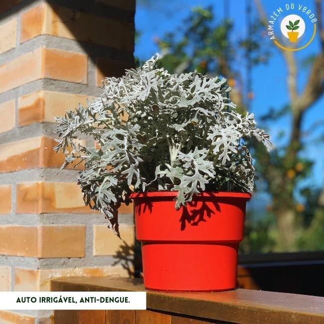 Kit 12 Vasos Autoirrigável Armazém do Verde 20cm Preta Armazem do Verde - 1