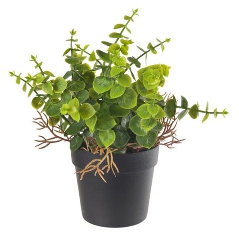 Eucalipto com Pote 22cm Verde Florarte Flor Arte