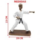 Ver imagem 2 de Estatueta Decoração Lutador Capoeira Escultura Resina 23cm