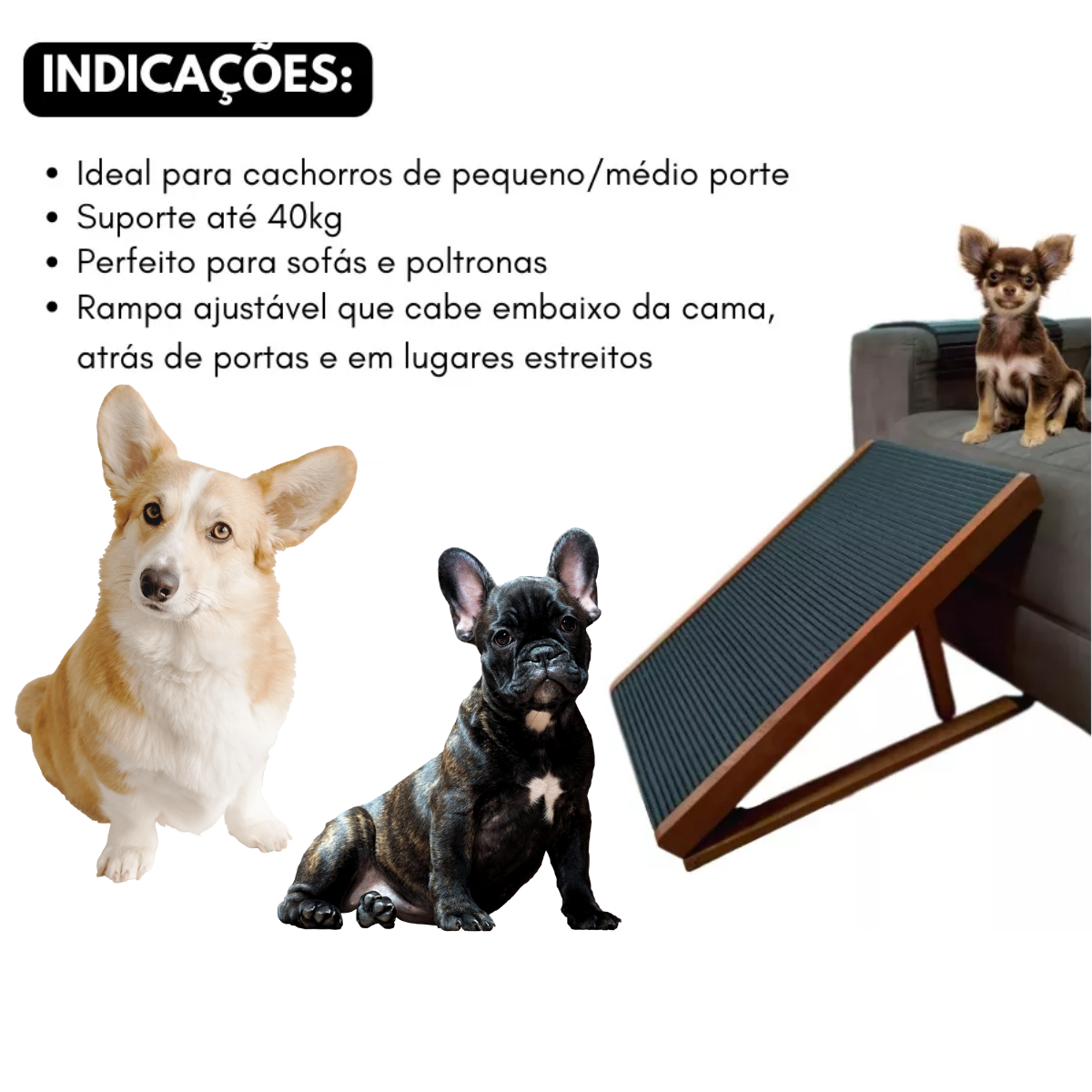 Rampa Pet Para Pets Chihuahua - 7