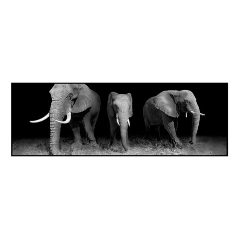 Quadro Decorativo Barcelona Elefante PeB 30x90 cm
