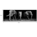 Ver imagem 6 de Quadro Decorativo Barcelona Elefante PeB 30x90 cm