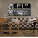 Ver imagem 2 de Quadro Decorativo Barcelona Elefante PeB 30x90 cm