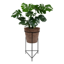 Ver imagem 1 de Suporte Tripé Vaso de Chão Plantas Aramado Preto 50x25x25cm