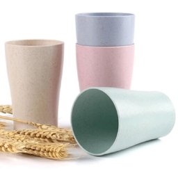 Kit 4 Copos de Fibra de Bambu 200ml 7x11cm - Quanhe - 1
