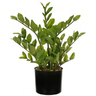 Planta Árvore Artificial Zamioculca Real Toque C/Pote X126 Verde 50cm - 1