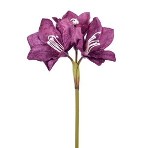 Haste Amarilis Burgundy Toque Real
