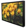 Quadro Decorativo Caixa Floral Flores Amarela Tacolado Moldura Caixa 3cm Branca sem Vidro 60 X 90cm - 3
