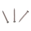 Ver imagem 2 de Prego de Inox com Cabeça 1,60x20 mm 100 Unidades Bemfixa