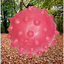 Ver imagem 4 de Brinquedo para Cães Bola Pula Pula 75mm Mamona Vermelho