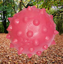 Ver imagem 4 de Brinquedo para Cães Bola Pula Pula 75mm Mamona Vermelho