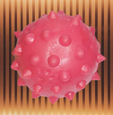 Ver imagem 7 de Brinquedo para Cães Bola Pula Pula 75mm Mamona Vermelho