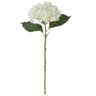 HASTE FLOR HORTENSIA CREME 50cm (FLORARTE) - 1
