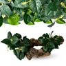 12 Folhagens Verdes Artificial Peperomia - Decoração Pick Premium para Vaso, Sala e Lavabo de Luxo - 3