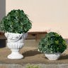 12 Folhagens Verdes Artificial Peperomia - Decoração Pick Premium para Vaso, Sala e Lavabo de Luxo - 1