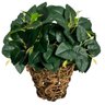 12 Folhagens Verdes Artificial Peperomia - Decoração Pick Premium para Vaso, Sala e Lavabo de Luxo - 4