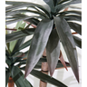 Planta Yucca Arvore Luxo 2 Galhos 125cm Suculenta Realista - 3