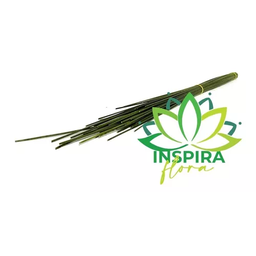 Vareta de Junco Janco Desidratado Decoração Arranjo Floral - 4