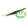 Vareta de Junco Janco Desidratado Decoração Arranjo Floral - 4