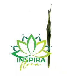 Vareta de Junco Janco Desidratado Decoração Arranjo Floral - 3