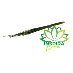 Vareta de Junco Janco Desidratado Decoração Arranjo Floral - 2