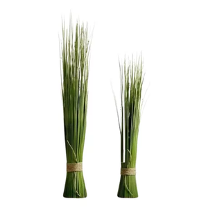 Vareta de Junco Janco Desidratado Decoração Arranjo Floral