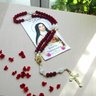 Terço Novena Das Rosas Santa Teresinha do Menino Jesus - 4