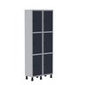 Armário Locker Guarda Volume Aço Light 2v 06 Portas Gr302/6 - 2