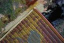 Ver imagem 5 de Tapete Cano Cristales 02 2,40x3,00:02