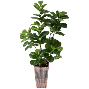 Árvore Planta Ficus Lyrata 148cm Verde Artificial Vaso