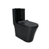 Vaso Sanitário Caixa Acoplada Redondo Preto Fosco - 1