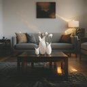 Ver imagem 5 de Kit 3 Vasos Decorativos Elegance Borboleta Plantas Luxo Moderno