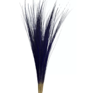 Capim Seda Prata Roxo Desidratado Decoração P\ Arranjo