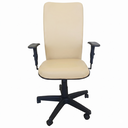 Ver imagem 1 de Cadeira Presidente Executiva Creme Corporativa Reclinável Flange Relax 140kg Estrela Metal Braço