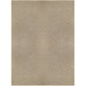 Tapete São Carlos 300cm X 390cm Eco Terra São Carlos - 5