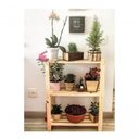 Ver imagem 5 de Armario Pinus Madeira Com Prateleira Cozinha