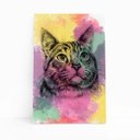 Ver imagem 1 de Quadro Gato Pets Animais Arte Aquarela Canvas 20x30cm