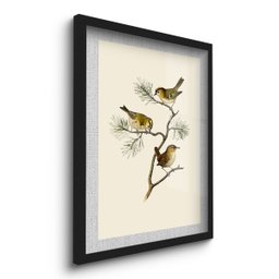 Quadro Decorativo Pássaros no Galho 45x33 C/vidro - 2