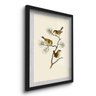 Quadro Decorativo Pássaros no Galho 45x33 C/vidro - 2