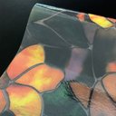 Ver imagem 4 de Pelicula Adesivo Eletrostatica Vidro Jateado Flor Magnolia