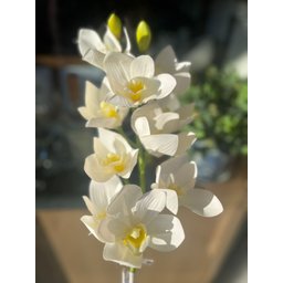 Flor Orquídea Branca 2 Galhos - 62 Cm - 3