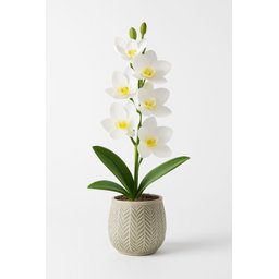 Flor Orquídea Branca 2 Galhos - 62 Cm - 1