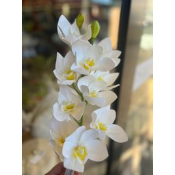 Flor Orquídea Branca 2 Galhos - 62 Cm - 4