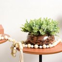 Ver imagem 1 de Arranjo com Folhas de Eucalipto Verde no Vaso de Vidro Achatado | Arranjos Formosinha