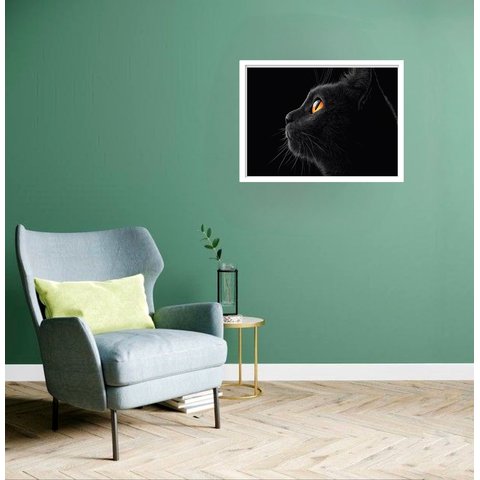 Quadro Decorativo Gato Preto Olhar - 50x70cm:moldura Branca