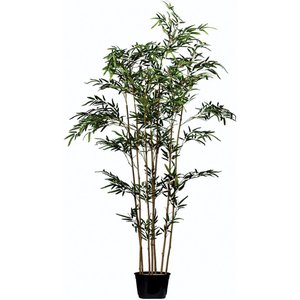 Árvore de Bambu Artificial para Decoração 170cm | Formosinha