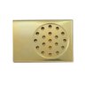 Ralo Inox Dourado para Box Banheiro - Pratic Ralo - 4