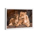 Ver imagem 1 de Quadro Leoa e 2 Filhotes -- Br Artes