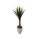 Ver imagem 1 de Planta Palmeira Permanente Yuca AKZ HOME